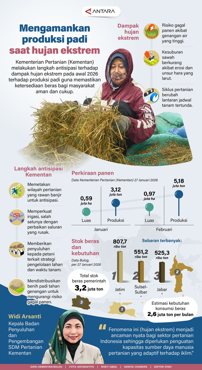 Mengamankan produksi padi saat hujan ekstrem