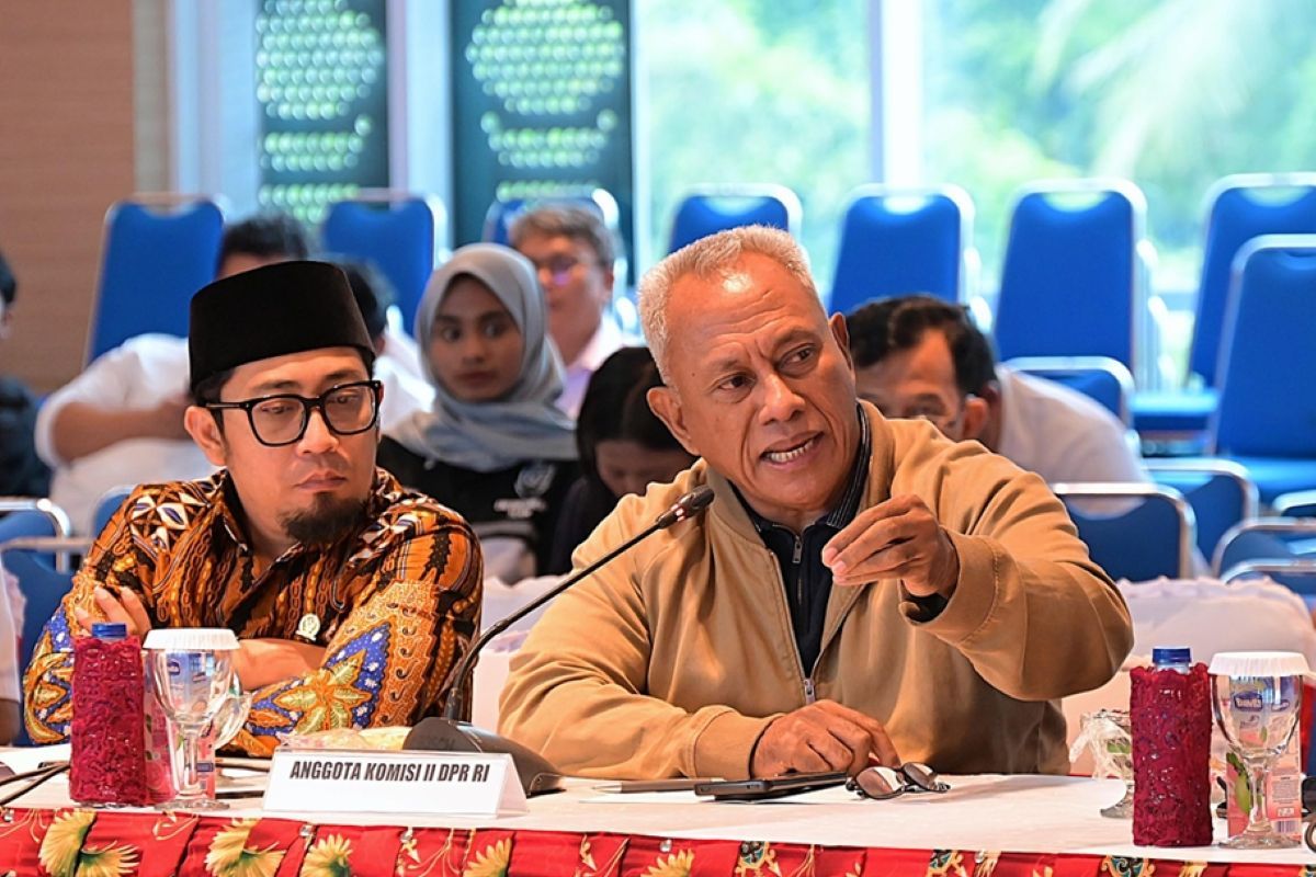 Anggota DPR usulkan pembentukan pansus perbatasan negara