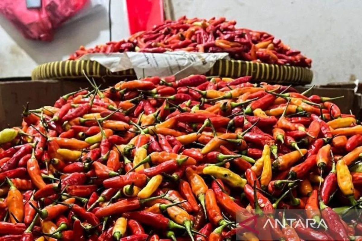 PIHPS: Harga bawang merah Rp50.950/kg, cabai rawit merah Rp84.250/kg
