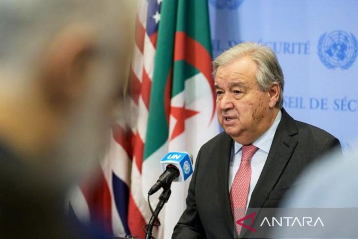 Sekjen PBB dorong Nigeria pimpin peran Afrika di tatanan global baru