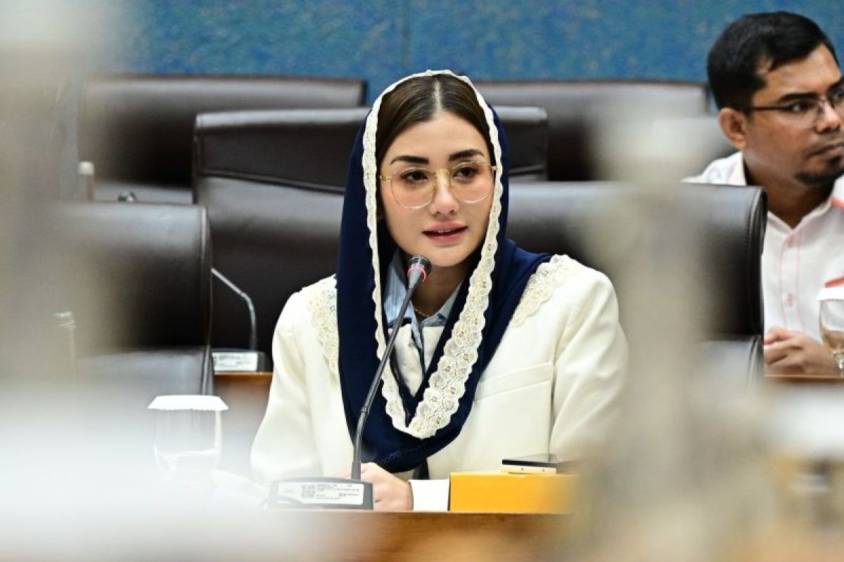 Anggota DPR: Pers sehat kunci hadapi era transformasi global