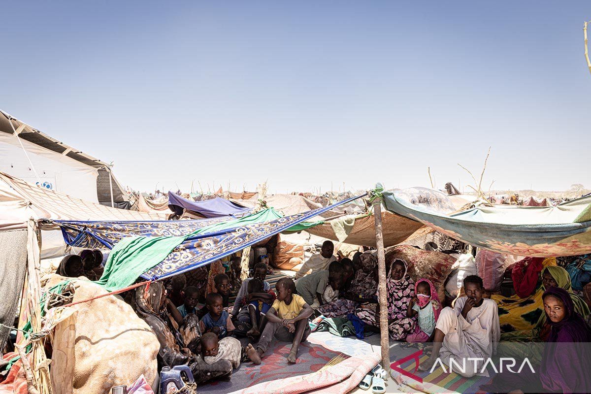 PBB: Konvoi WFP diserang drone di Kordofan Utara, Sudan