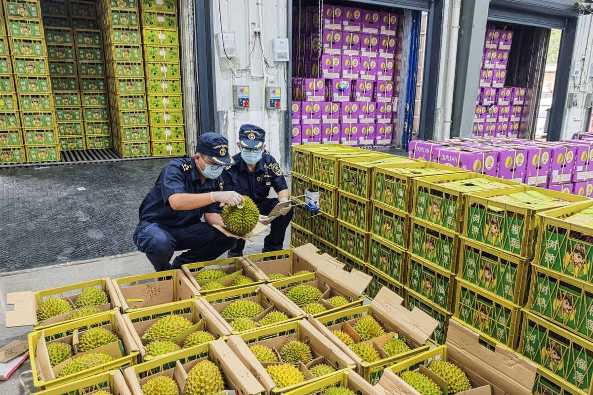 Yunnan, China tingkatkan efisiensi bea cukai untuk buah dari ASEAN