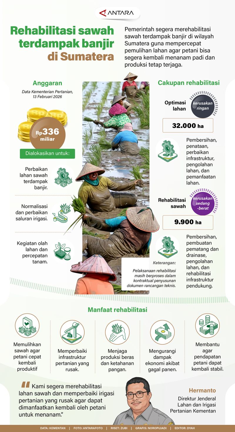 Rehabilitasi sawah terdampak banjir di Sumatera