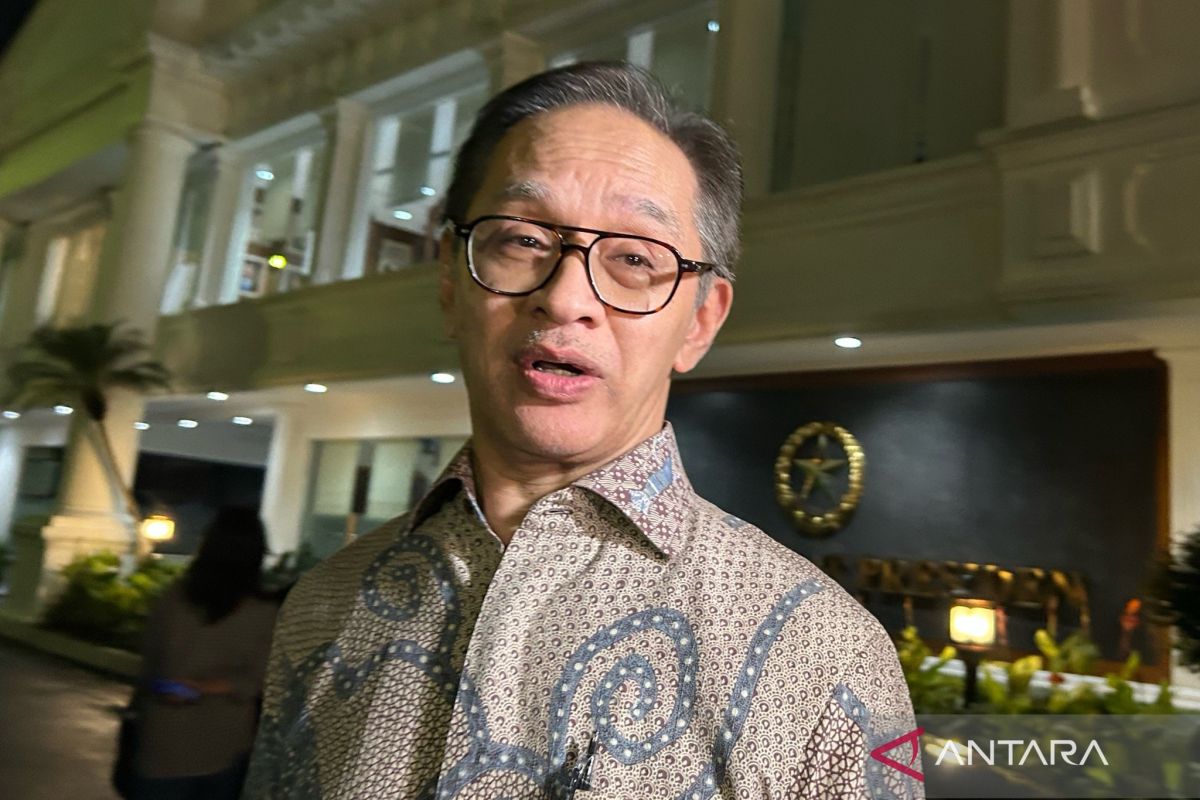 Eks Menlu Marty: Kepentingan nasional landasan RI di BoP