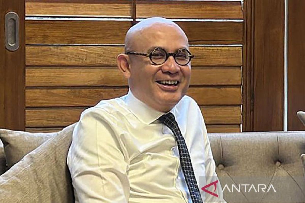 Wamenlu: Indonesia akan bahas Solusi Dua Negara pada KTT D-8