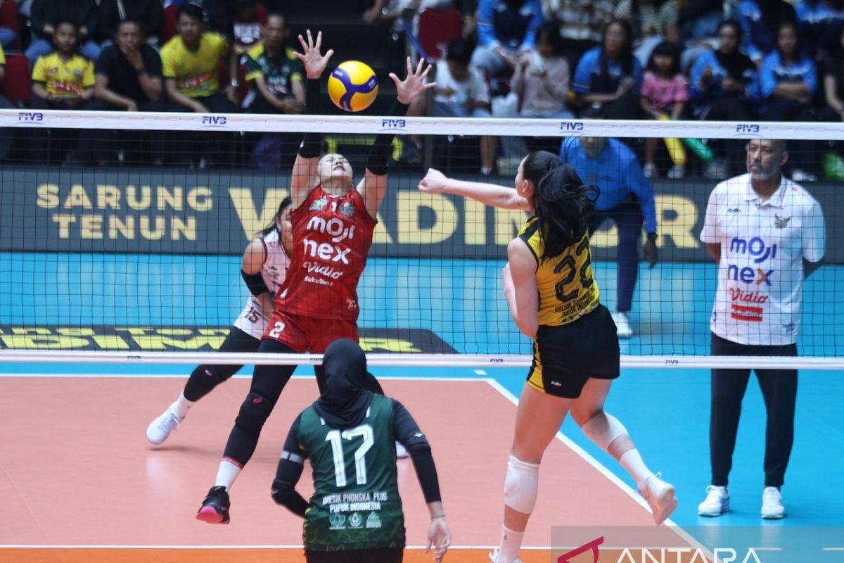 Gresik Phonska sapu bersih dua laga kandang setelah kalahkan Falcons