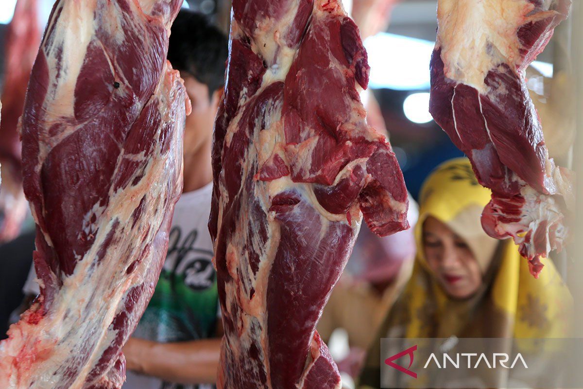 Asosiasi sebut pasokan daging terdampak pemangkasan kuota impor