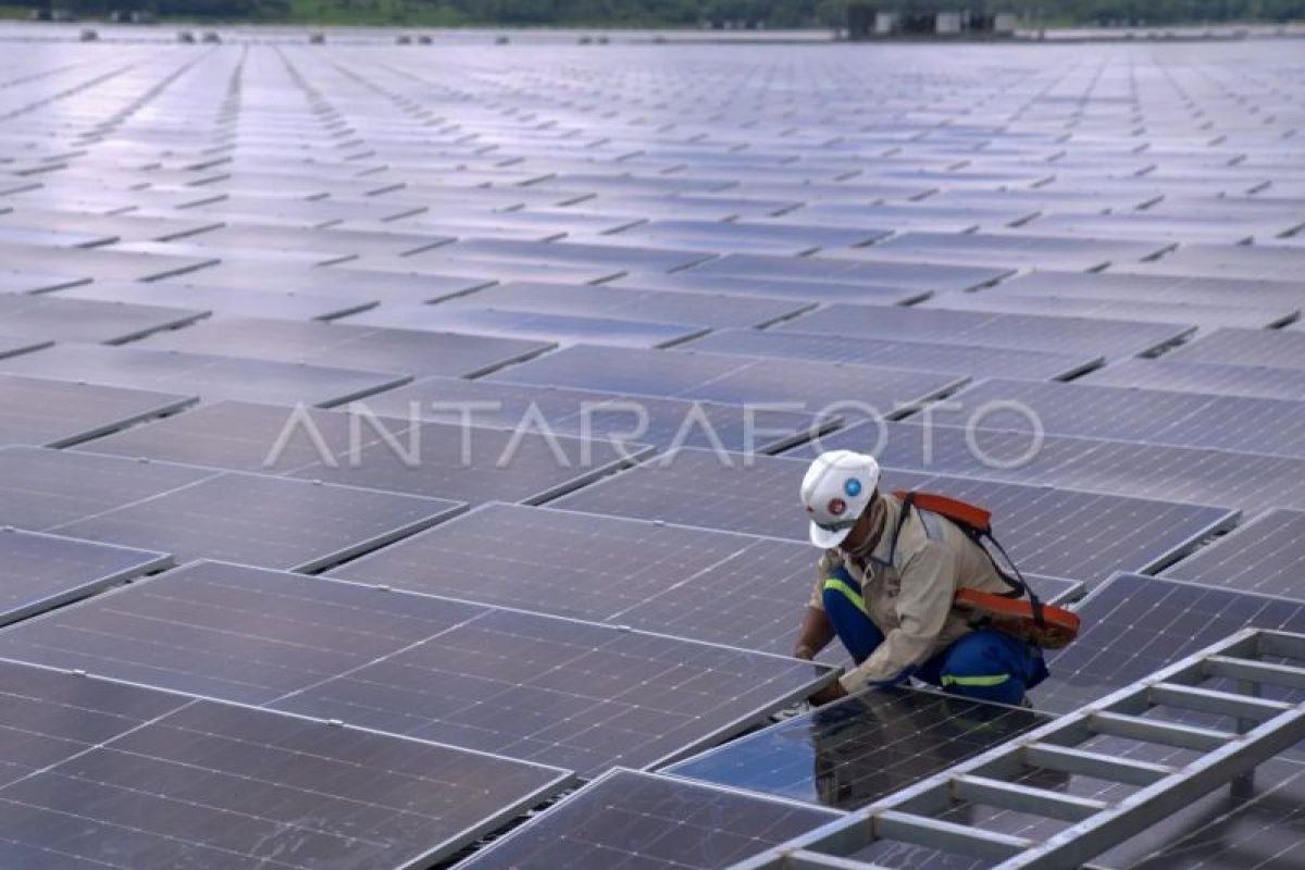 Ekonom: Indonesia perlu perdalam kerja sama transisi energi dengan AS