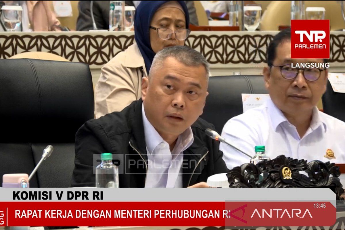 11 bandara Papua ditutup sementara demi keamanan usai pilot ditembak