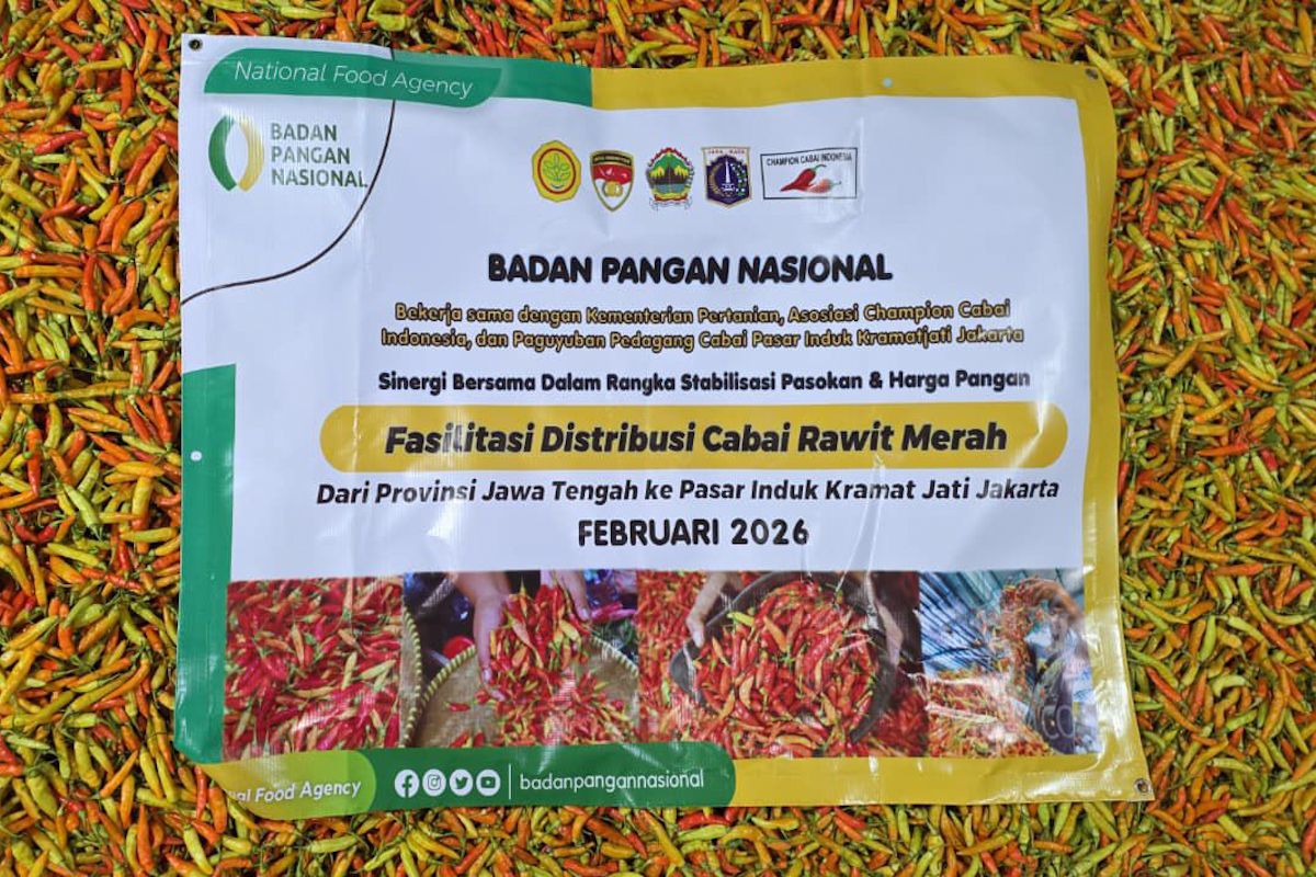 Kementan guyur pasokan cabai ke PIKJ guna tekan lonjakan harga