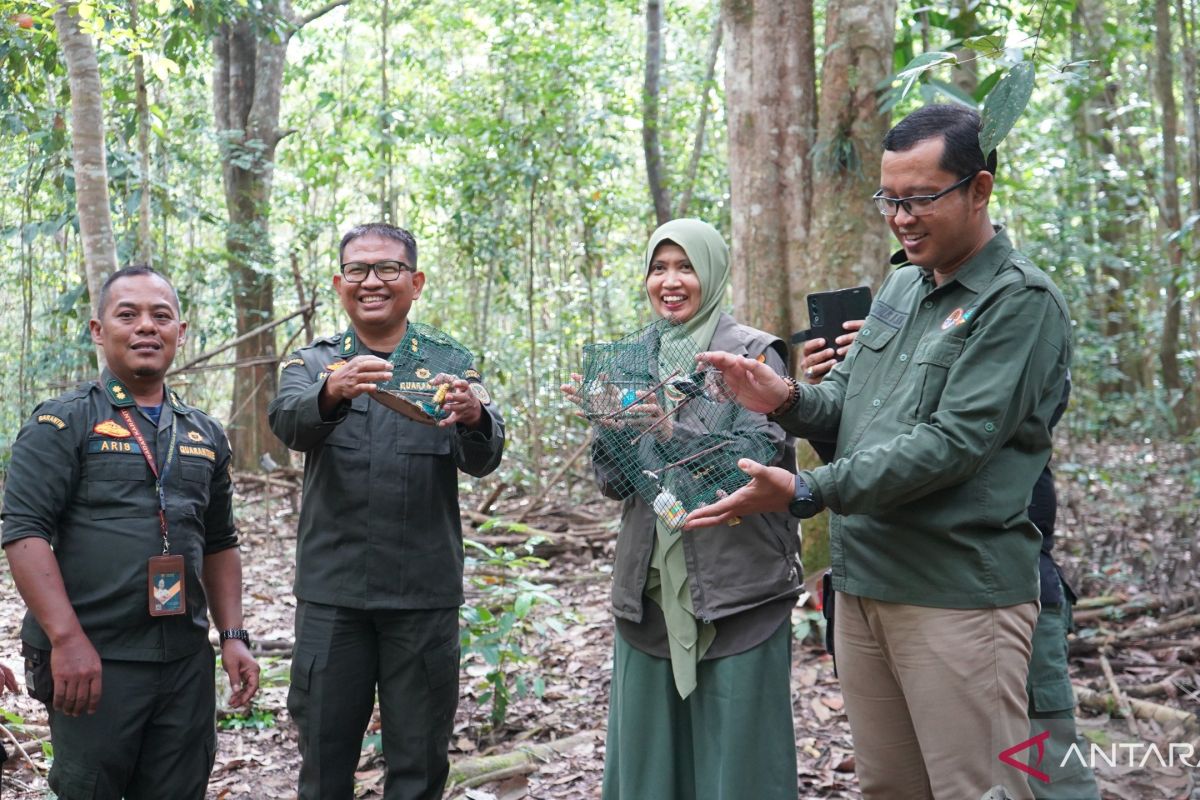 Karantina Jambi gagalkan pengiriman burung tanpa dokumen