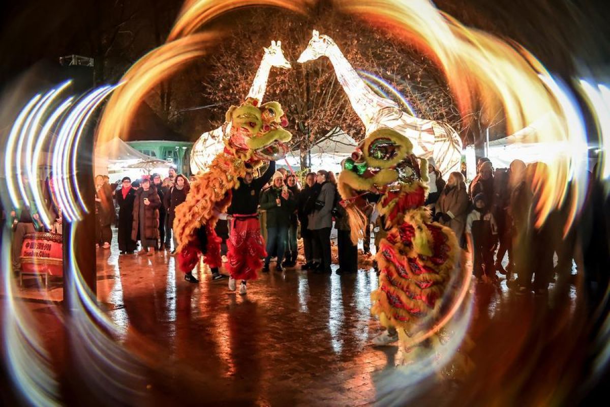 Festival kuliner China promosikan pertukaran budaya di Hongaria