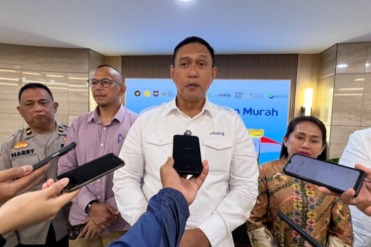 Dirut Bulog koordinasikan temuan cabai Rp140 ribu/kg ke asosiasi