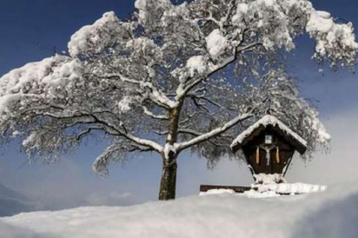 Lebih dari 50 orang meninggal dunia akibat cuaca ekstrem di Polandia