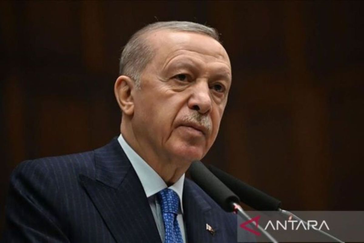Erdogan: Turki siap memediasi Teheran dan Washington, hindari perang