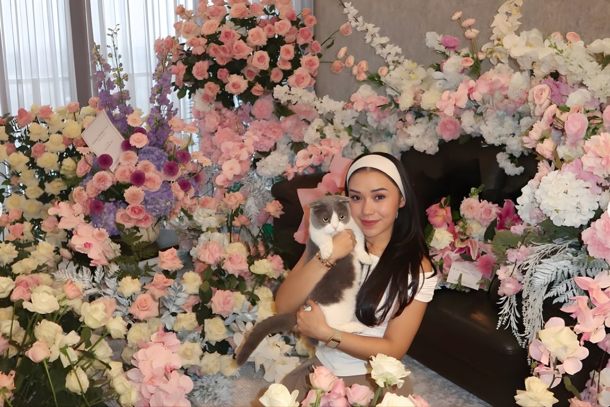 Simak kembali warta tentang Lula Lahfah, rekomendasi diet bagi pria