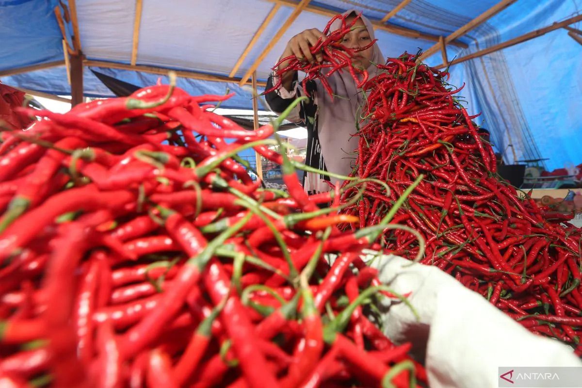 PIHPS: Harga cabai rawit merah Rp82.950/kg, telur ayam Rp32.300/kg
