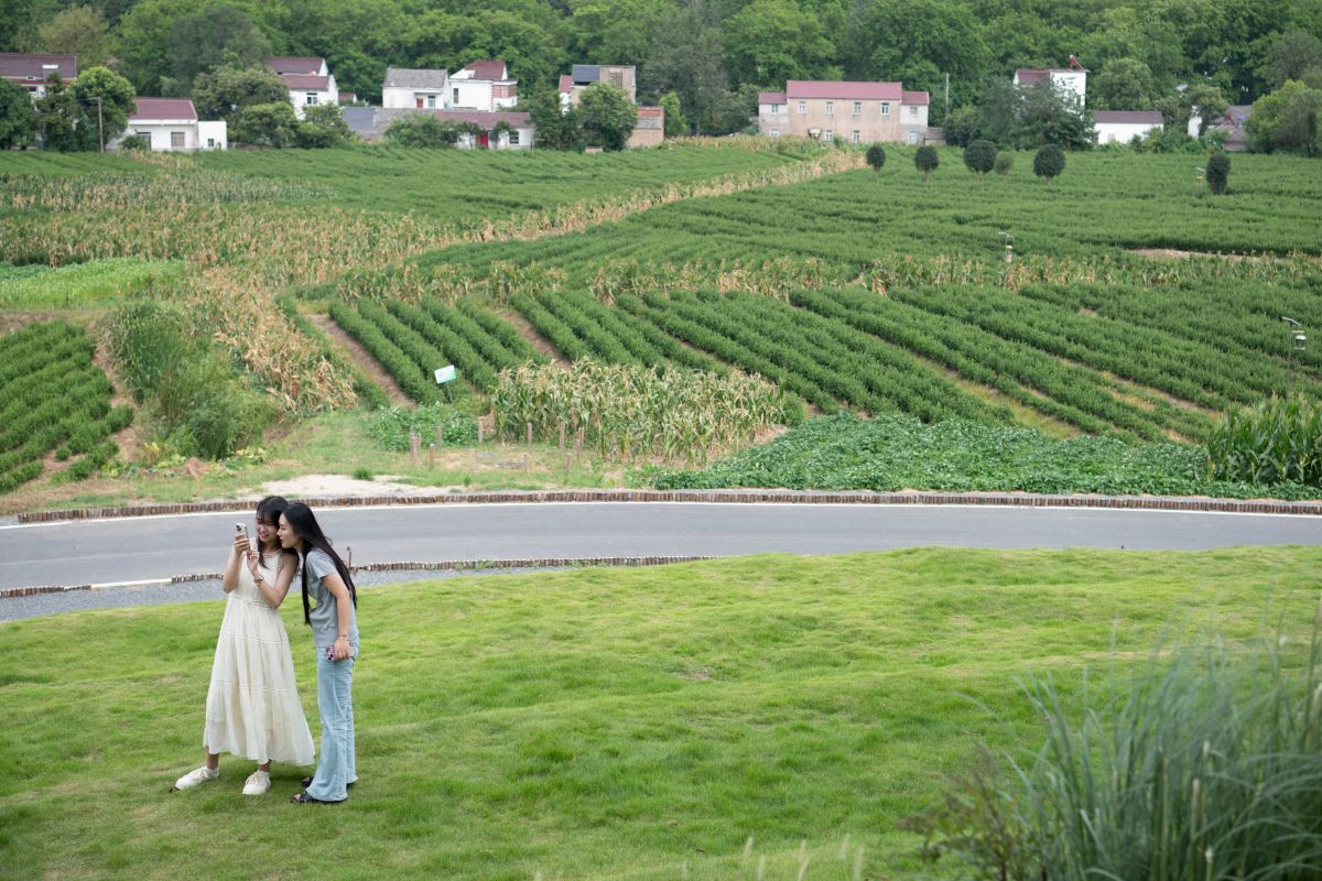 China paparkan langkah majukan modernisasi pertanian