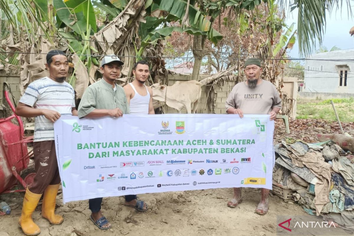 Baznas Bekasi salurkan delapan sapi kepada korban banjir Aceh