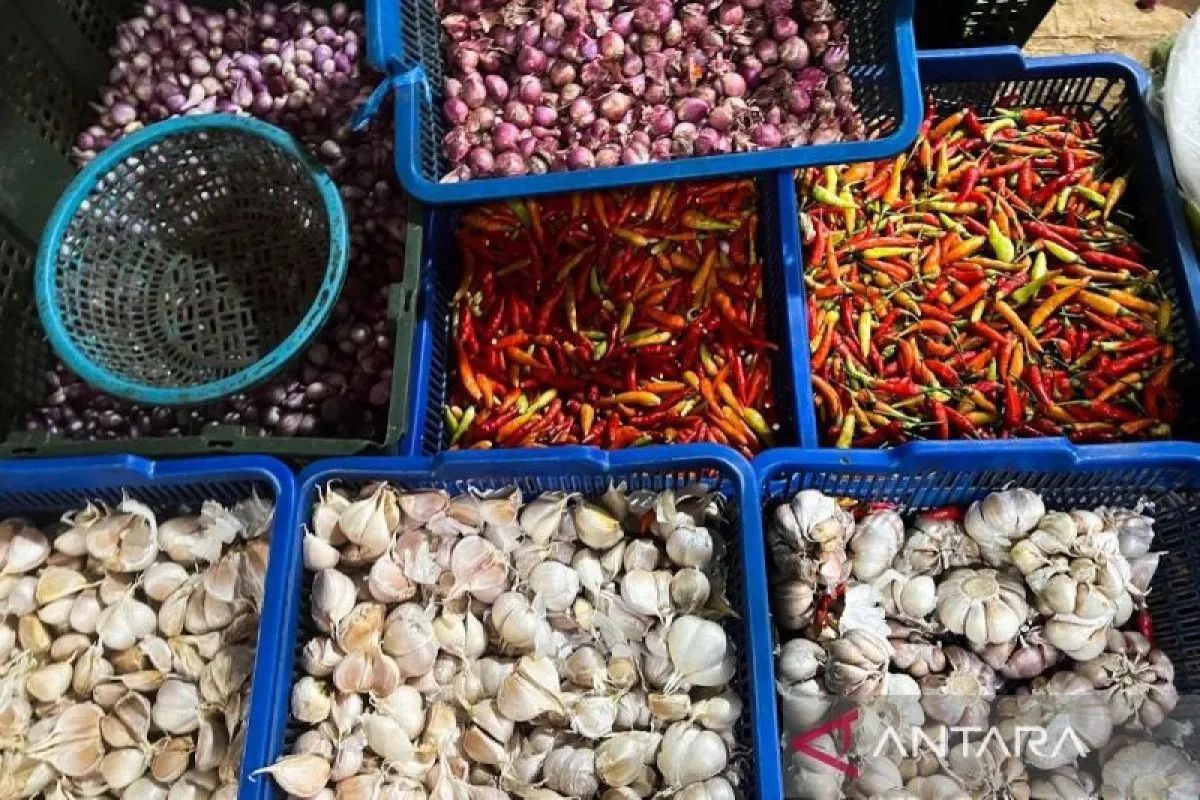 PIHPS: Harga bawang merah Rp43.800/kg, cabai rawit merah Rp75.300/kg