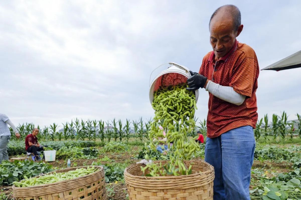 Mendag: Impor produk AS tarif 0 persen tidak ganggu industri nasional