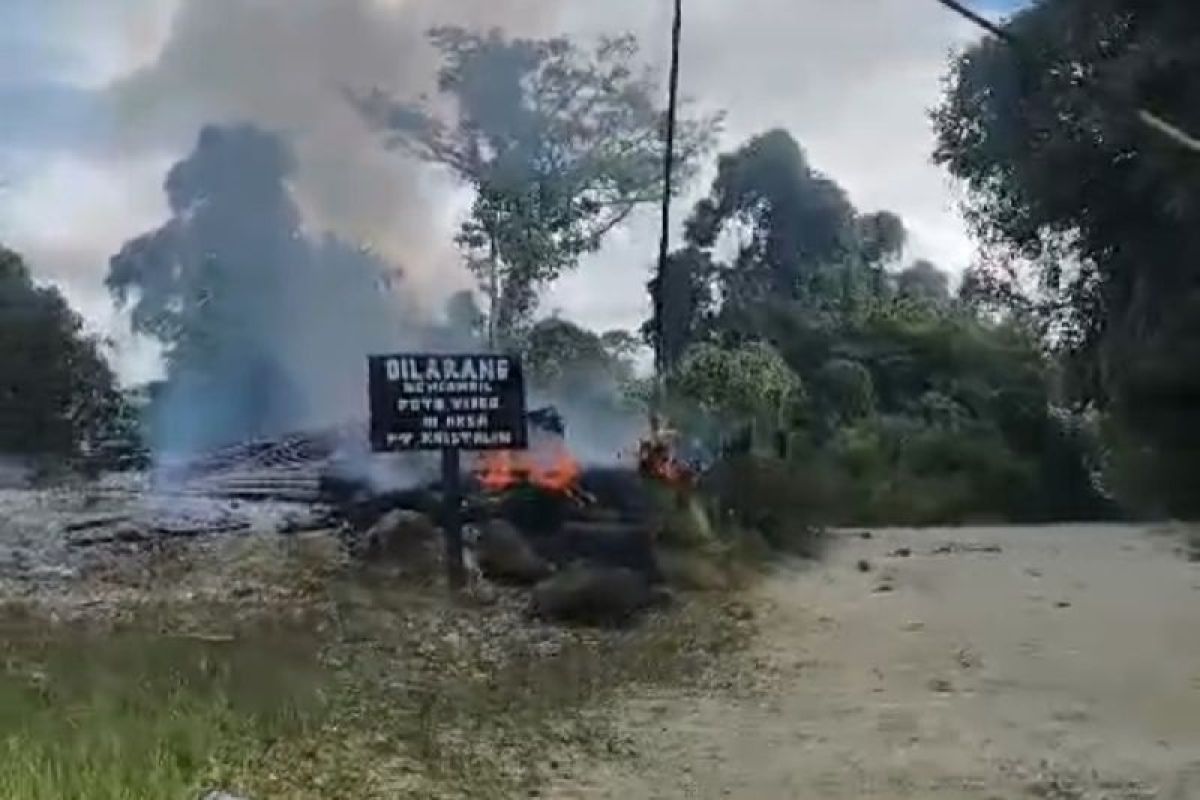 Manajemen PT Kristalin sayangkan penyerangan yang dilakukan OTK