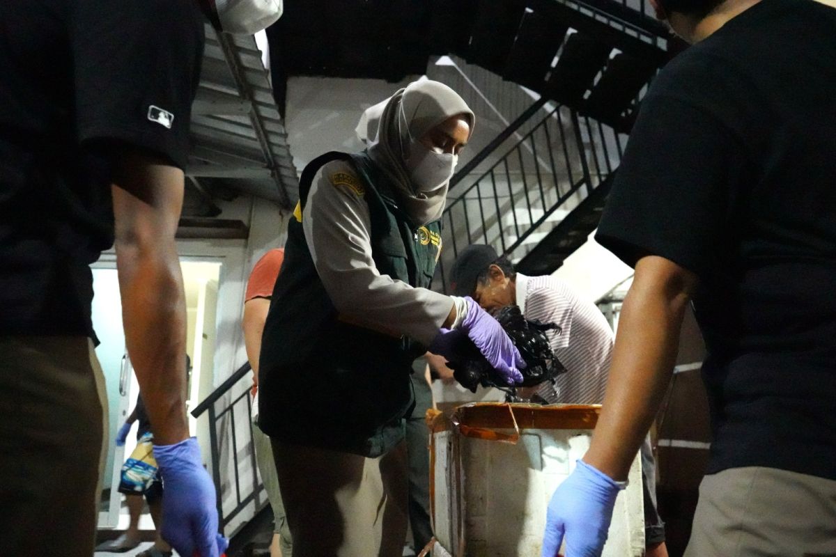 Karantina Malut tahan ratusan kilogram daging dan satwa liar ilegal