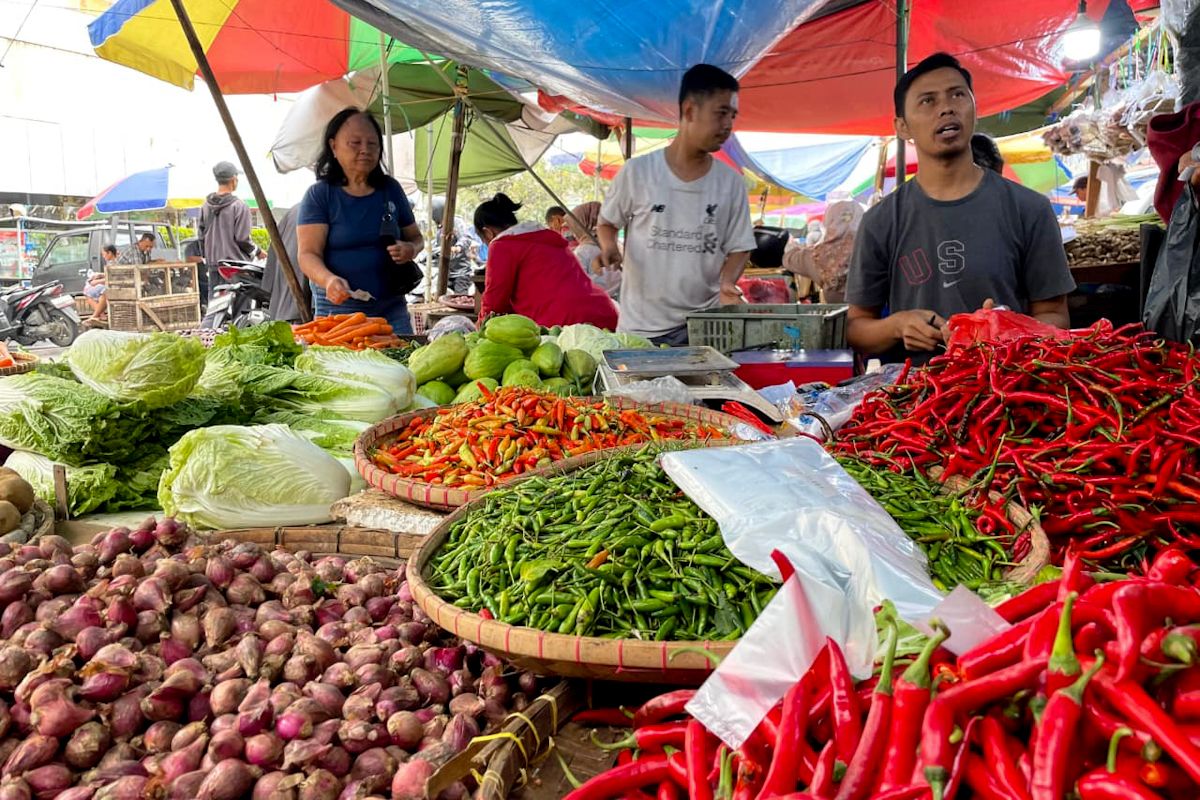Bapanas perkuat stabilisasi pangan di Kepulauan Seribu lewat FDP