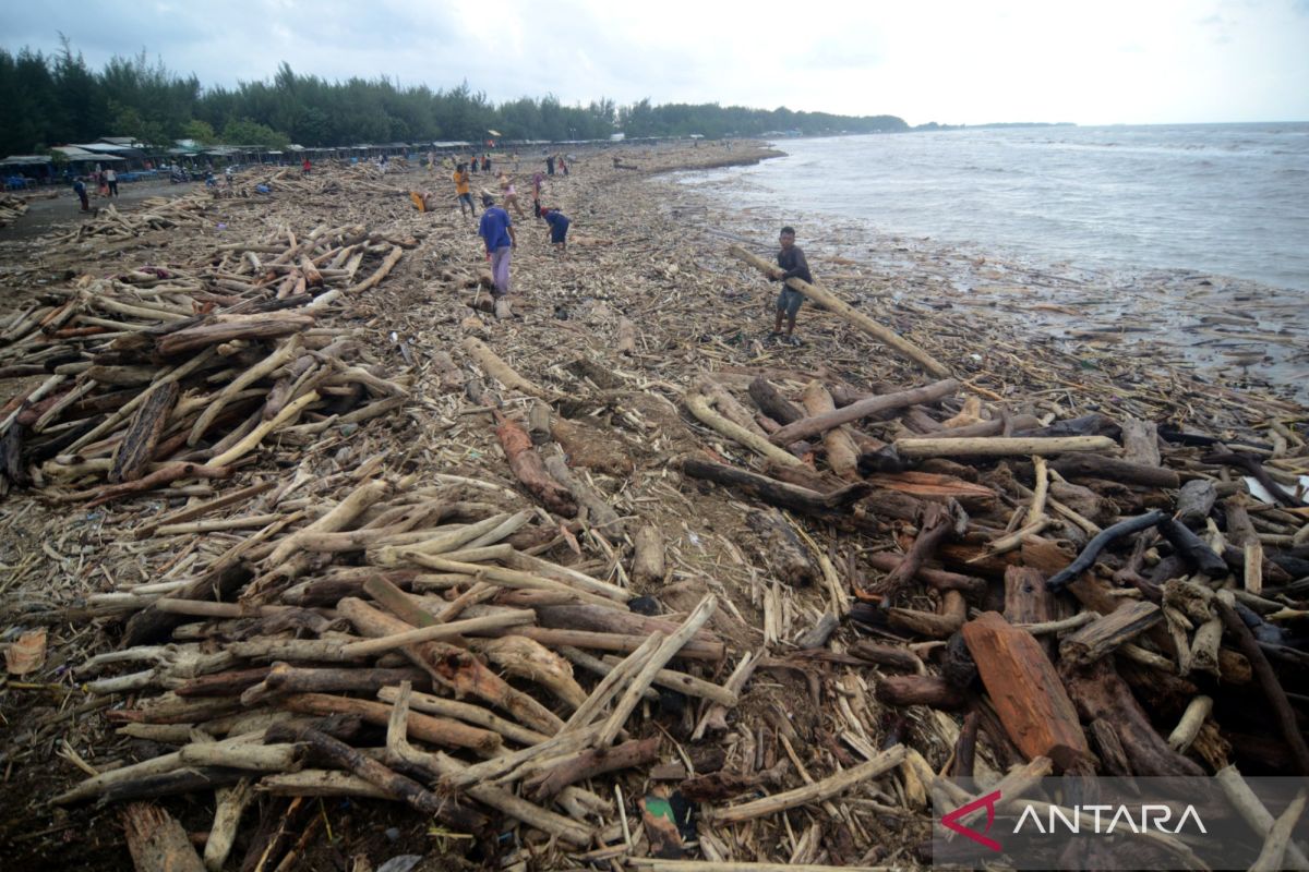 Istana respons dugaan penebangan hutan picu banjir di Guci Tegal