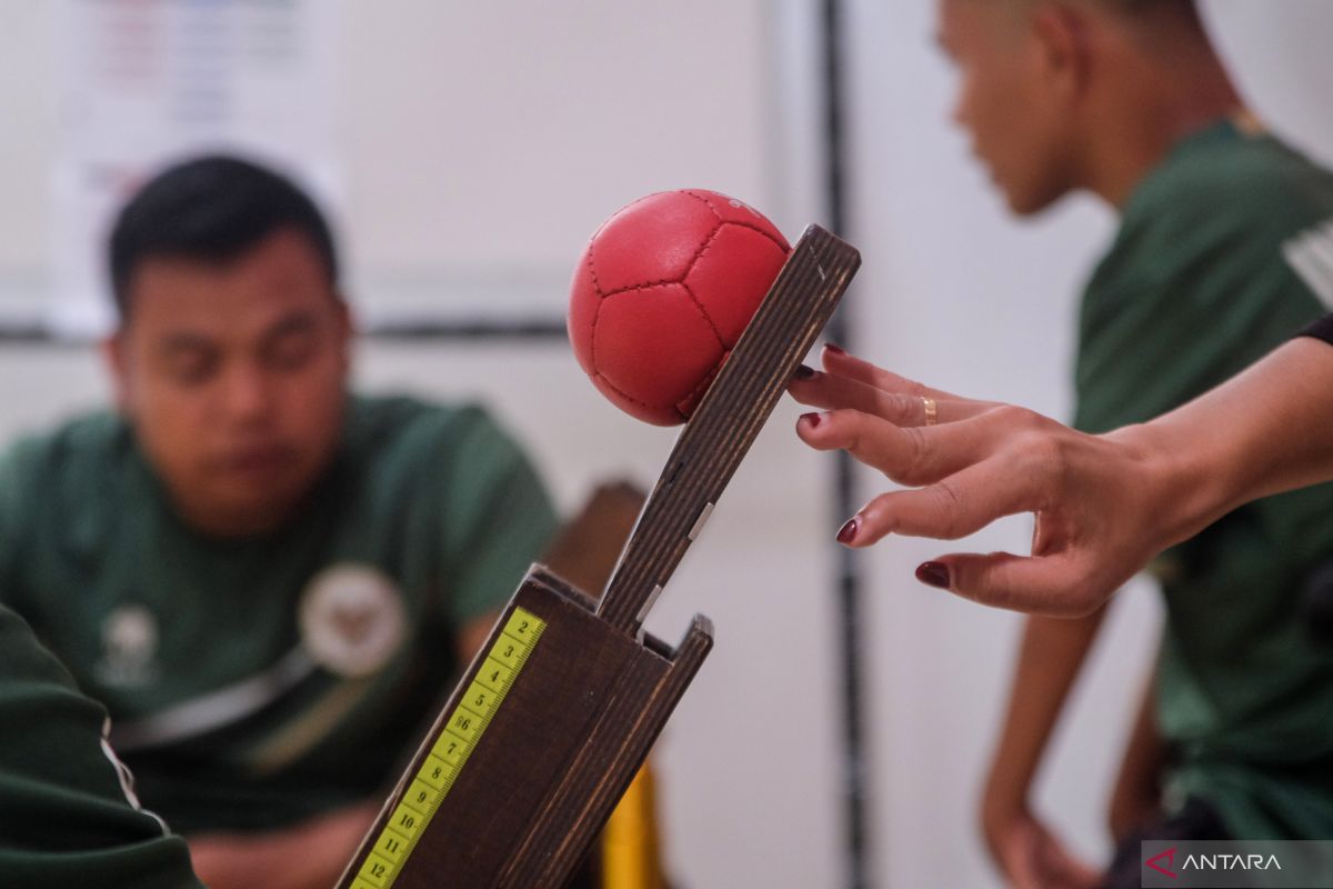 Afrizal persembahkan perunggu para boccia untuk Indonesia