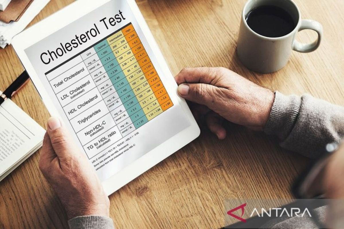Kesalahan diet esktrem dalam mengontrol kolesterol