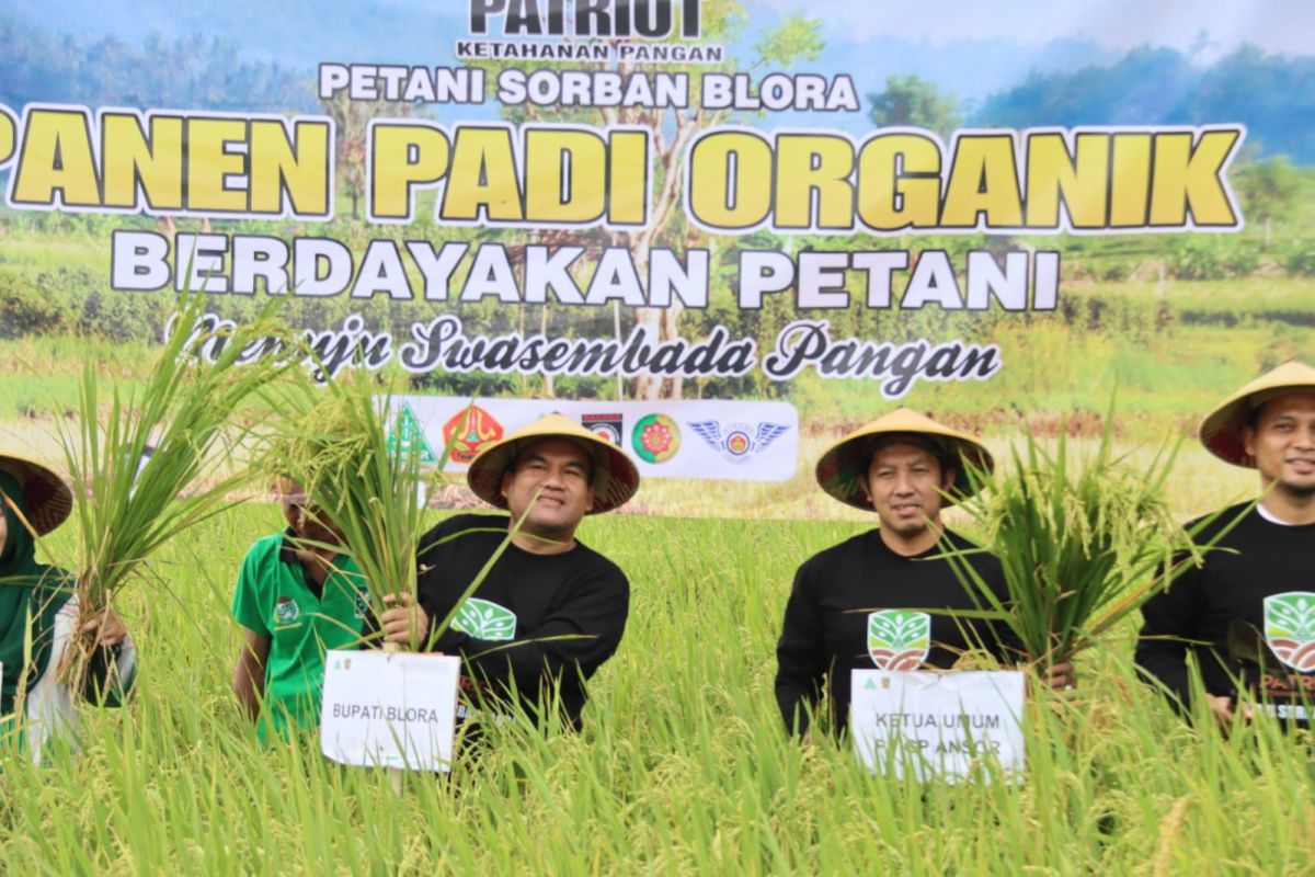 GP Ansor panen padi organik dan tanam 3.000 pohon kelapa di Blora