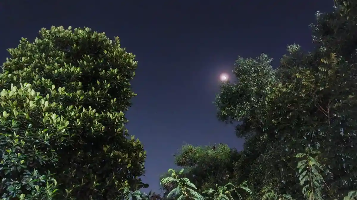 Prakiraan Cuaca Bogor 28 Januari 2026: Bakal Diawali dengan Hujan Sejak Dini Hari, Malam Berawan