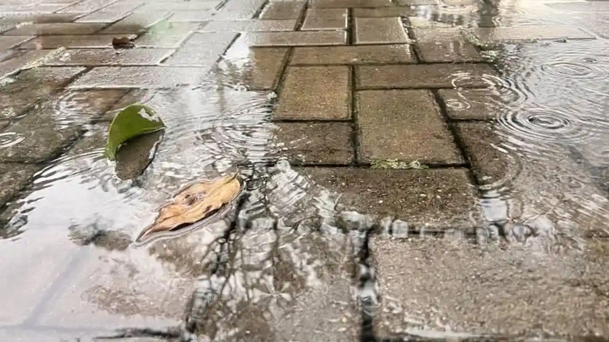 Cuaca Kota Bogor Besok Jumat 24 Januari 2025, Diprediksi Hujan Seharian dari Pagi hingga Malam