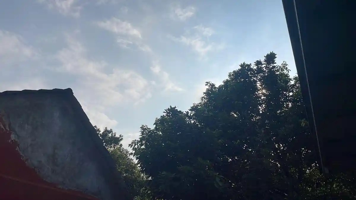Kondisi Cuaca Bogor Minggu 1 Februari 2026, Sabtu Sore Cerah, Waspada Hujan Besok Pagi