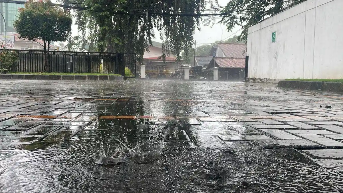 Cuaca Bogor Kota Kabupaten Senin 9 Februari 2026 Menurut BMKG, Hujan Kepung Semua Kecamatan