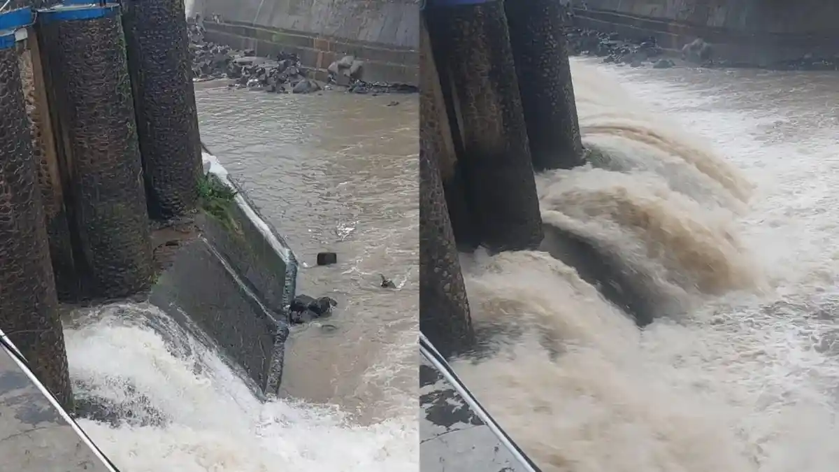 Update Bendung Katulampa Usai Kawasan Puncak Bogor Diguyur Hujan, TMA Ciliwung Meningkat
