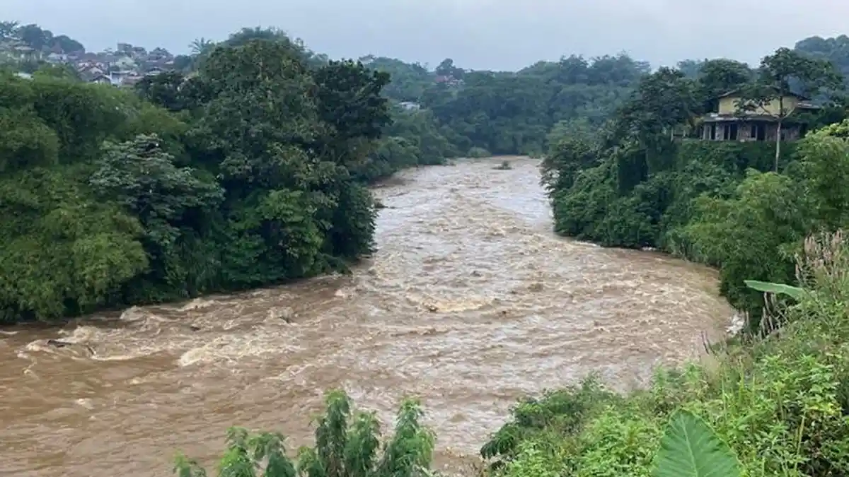 Bendung Cisadane Empang Bogor Siaga 4, Sungai di Batutulis Cokelat Pekat