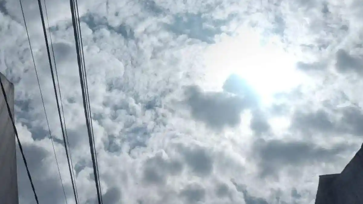 Update Prakiraan Cuaca Kota dan Kabupaten Bogor Minggu 15 Februari 2026: Siap-siap Payung!