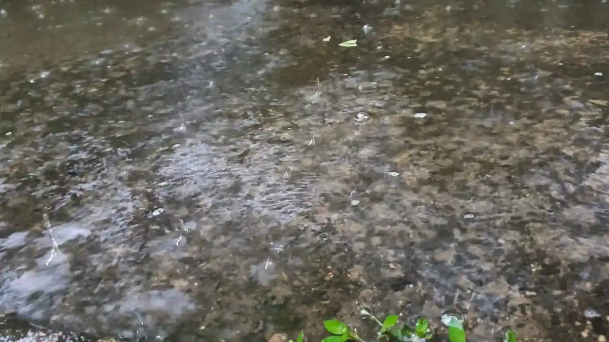 Cuaca Bogor 29 Januari 2026: Pagi-Siang Hujan, Cek Jadwal Langit Cerah Sebelum Malam Hujan Lagi