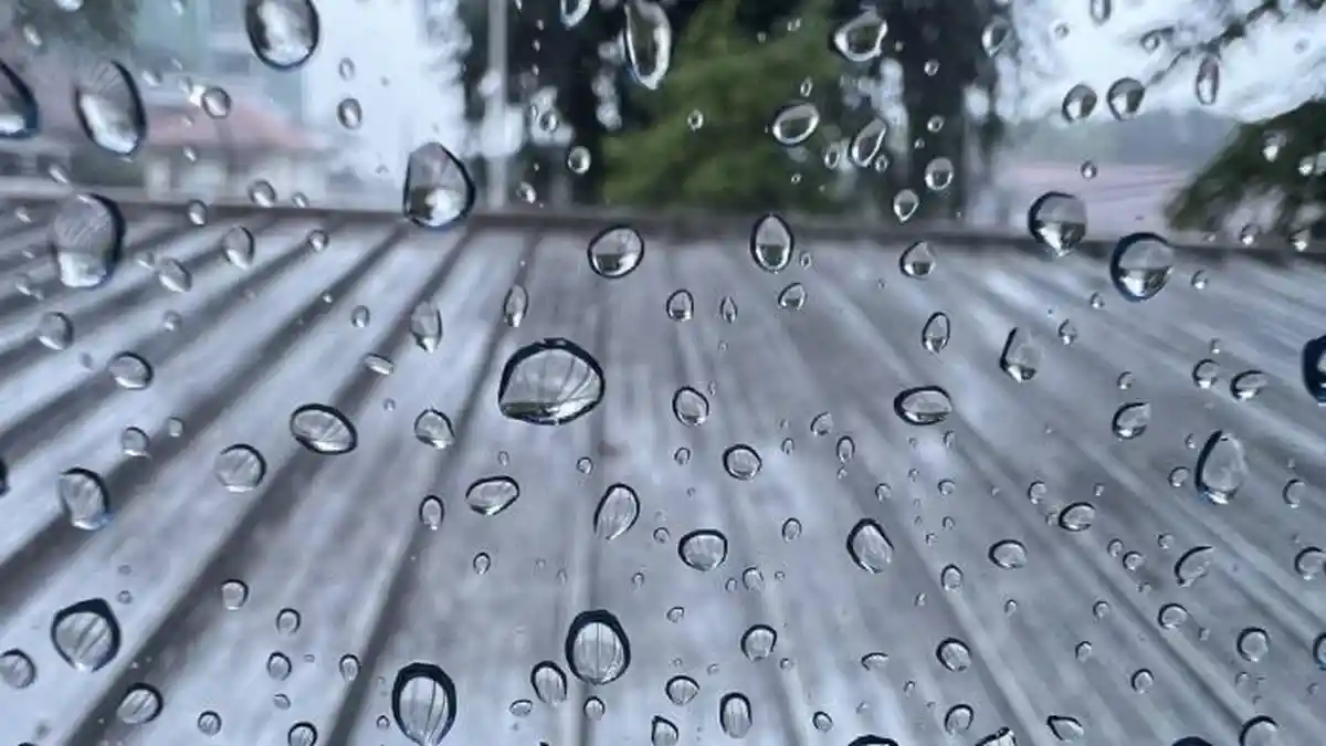 Cuaca Kota Bogor Hari Ini Senin 9 Februari 2026, Diprediksi Hujan dari Pagi hingga Sore Hari