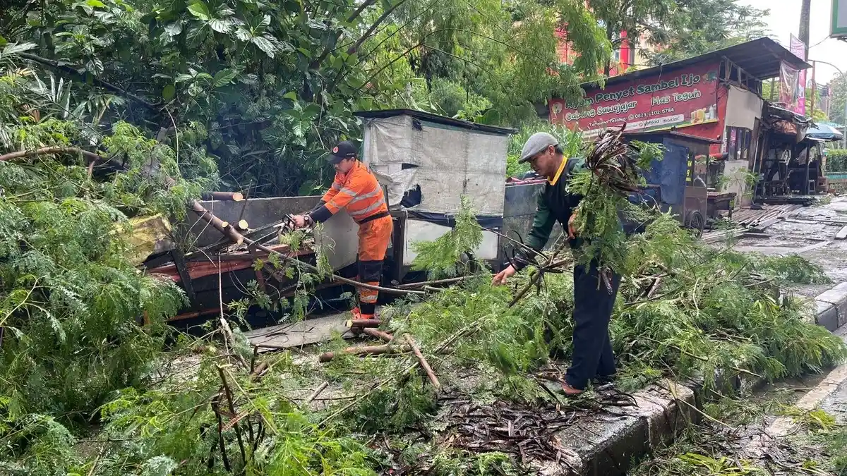 Hujan Guyur Kota Bogor Sejak Pagi, Dahan Pohon Pete Cina di Sholeh Iskandar Patah Halangi Trotoar