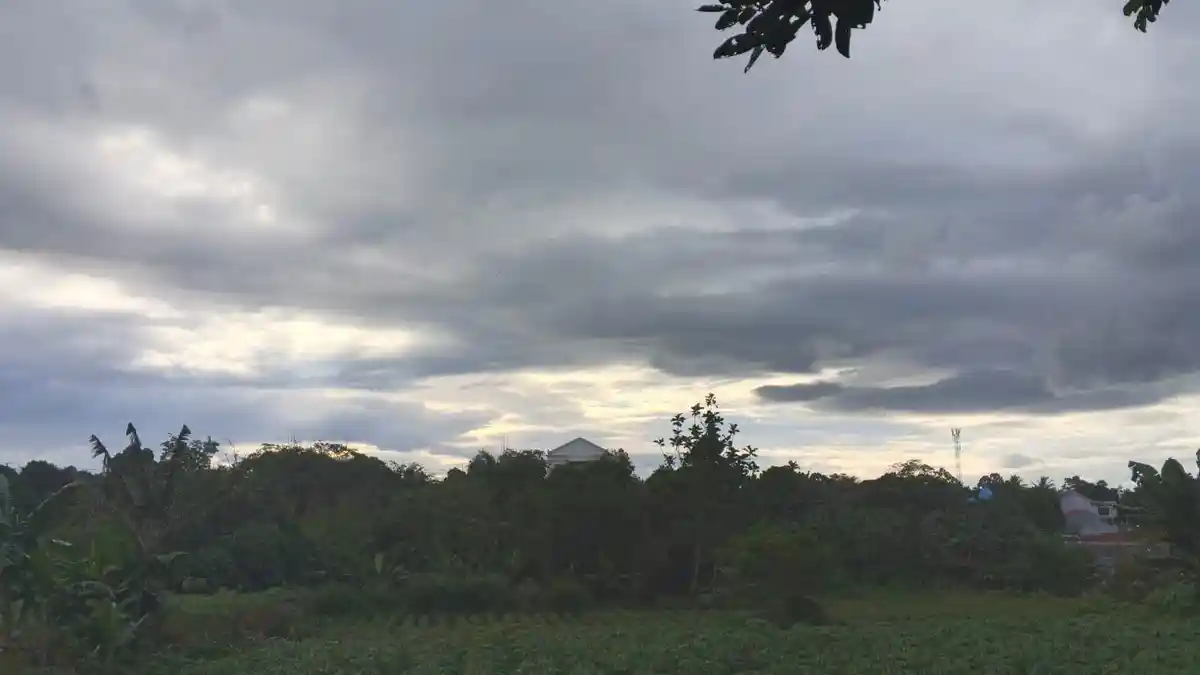 Info Cuaca Bogor 10 Februari 2026: Waspada Tiba-tiba Hujan Usai Berawan, Cek Dulu Sebelum Jalan