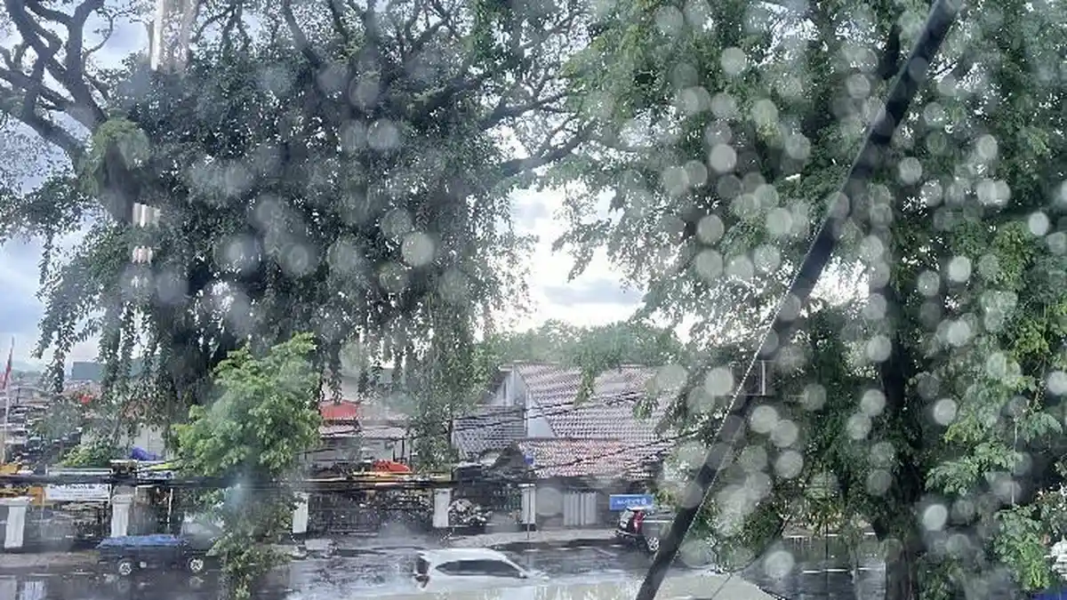 Cuaca Kota Bogor Besok Minggu 8 Februari 2026, Berawan Sepanjang Hari dari Pagi Sampai Malam