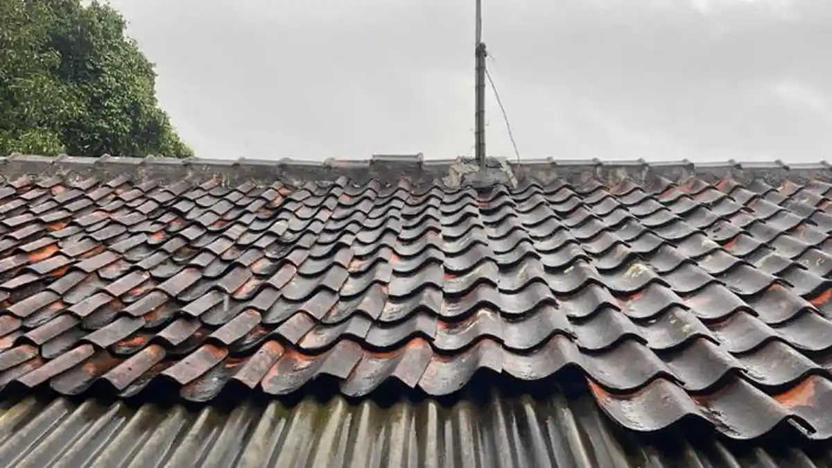 Cuaca Kota Bogor Hari Ini Senin 16 Februari 2026, Diprediksi Hujan Ringan Pagi hingga Sore Hari