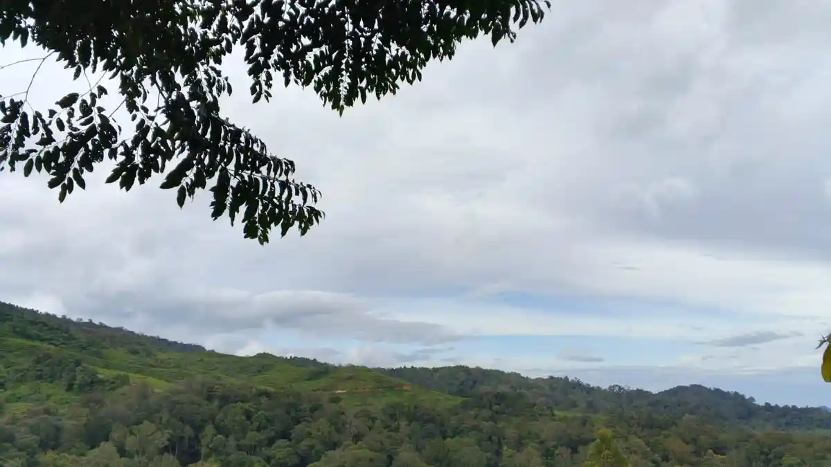 Update Cuaca Bogor 1 Februari 2026: Cek Jadwal Hujan, Sempat Cerah Sebelum Diguyur Hujan Sore Hari