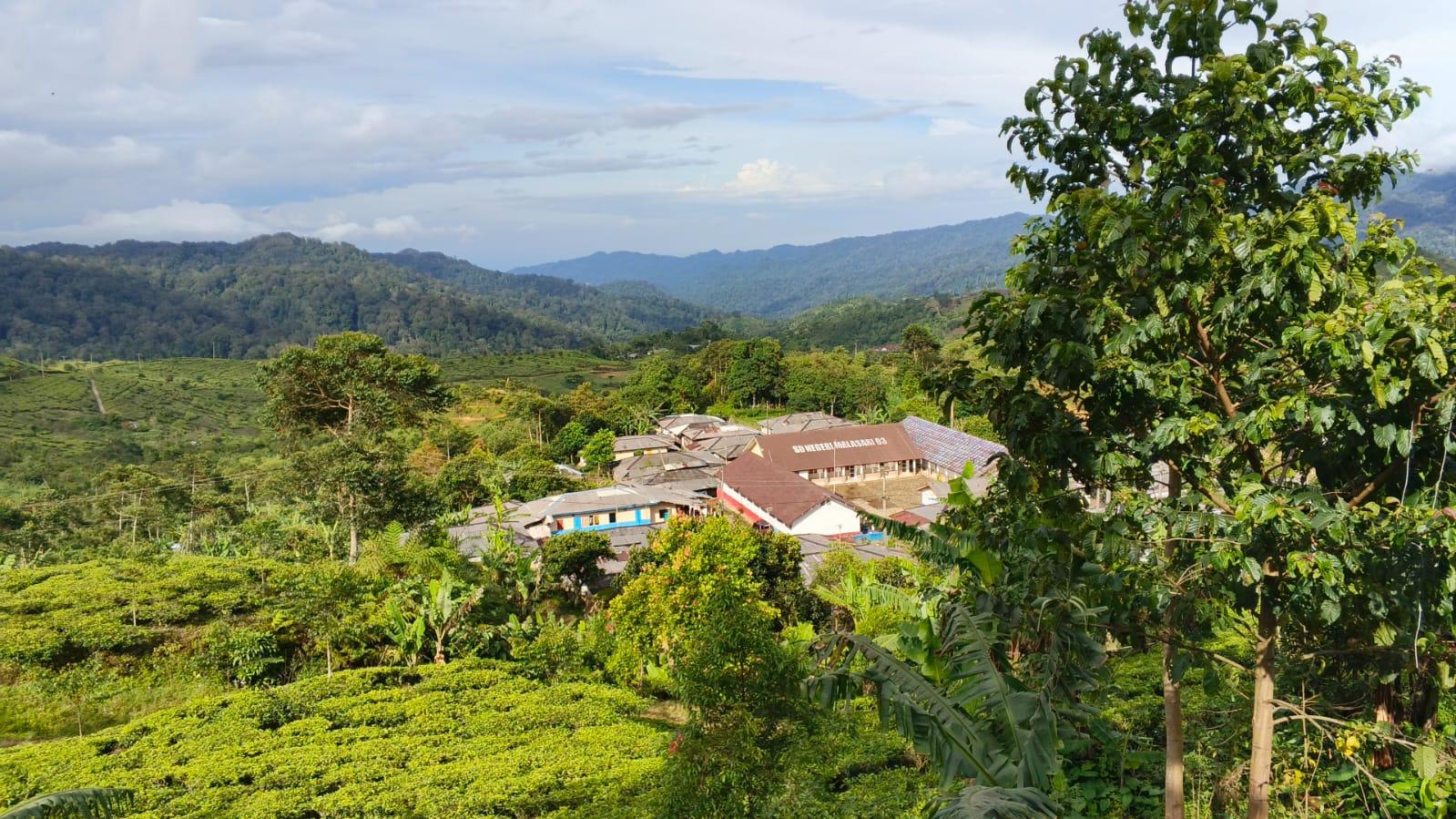 Prakiraan Cuaca Bogor Besok 3 Februari 2026: Waspada Hujan Lagi Mulai Siang, Cek Jadwalnya!