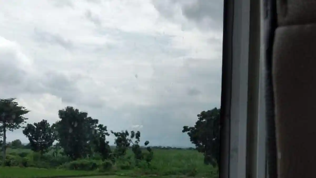 Bogor Diguyur Hujan Sejak Pagi, Intip Prakiraan Cuaca Siang hingga Malam Hari Ini