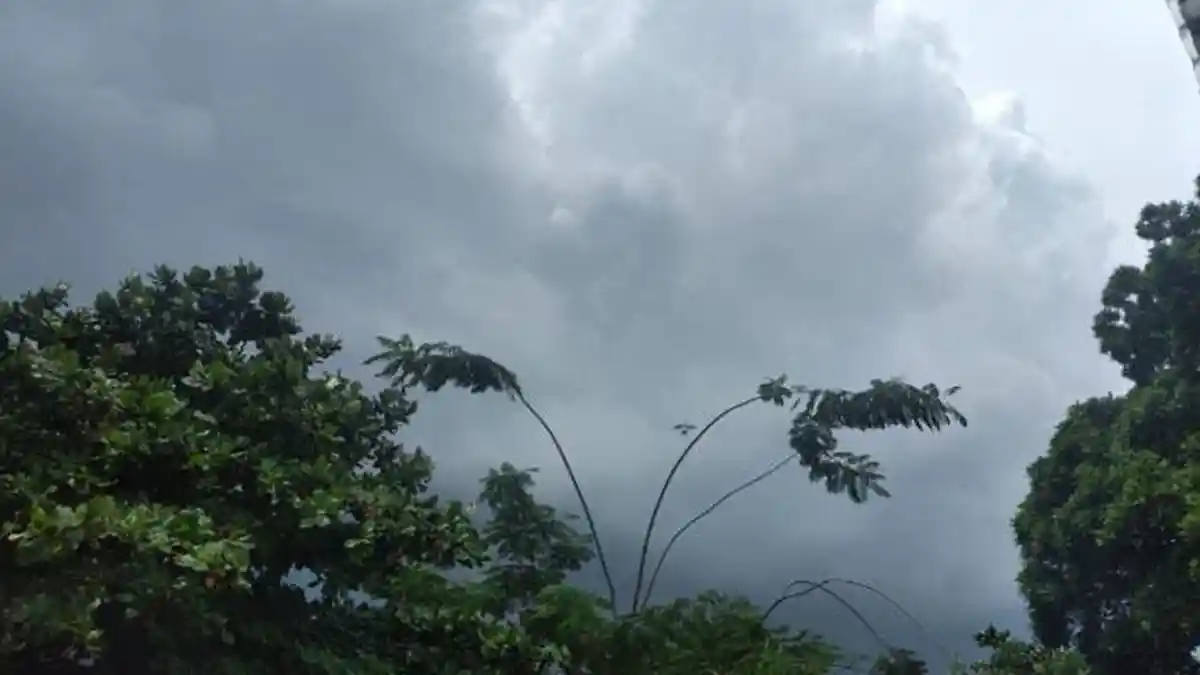 Info Cuaca Bogor Hari Ini Jumat 13 Februari 2026, Waspada Hujan Ringan di Bogor Tengah hingga Ciawi